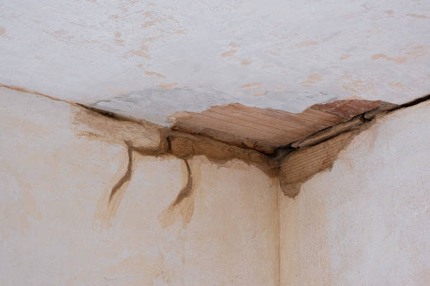 Best Professional water damage repair  in Knob Noster, MO