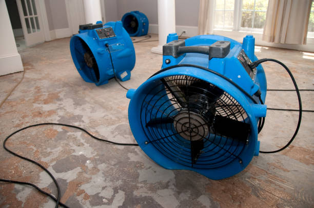  Knob Noster, MO Water damage restoration Pros