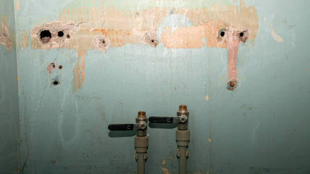 Best Emergency water extraction  in Knob Noster, MO