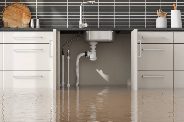 Professional Water damage restoration in Knob Noster, MO